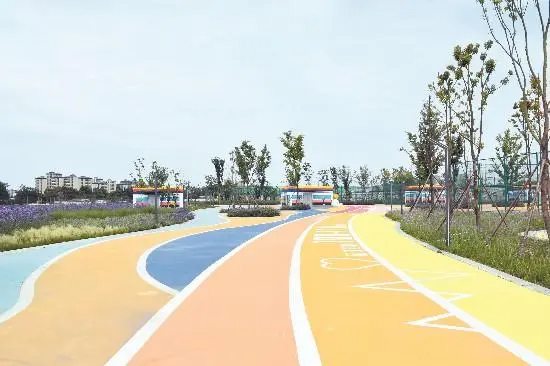 3-2305120S625252.jpg