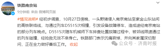 3-241029135JNP.png