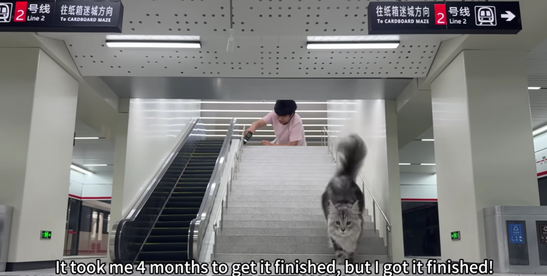 猫3.png